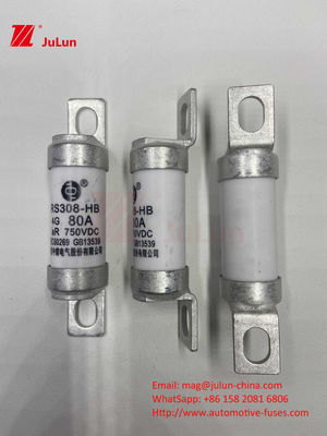 ฟิวส์รถไฟฟ้า EV สําหรับ DC750V ฟิวส์ DC750V 10A 15A 20A 25A 30A สําหรับการใช้งานรถยนต์ RS308