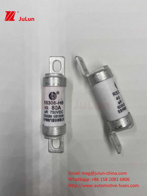 M6 Bolted EV Fuse 750V 80A10A 30A 50A 750VDC EV Fuse Hey phù hợp với hệ thống kéo EV, chuyển đổi điện