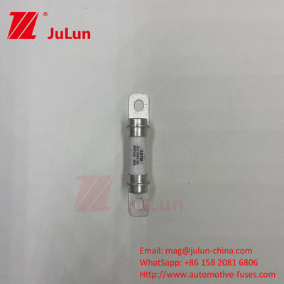 Electric Vehicle Fuse 500VDC Reliability Performance Design Refer To ISO8820-8&GB/T31465.6