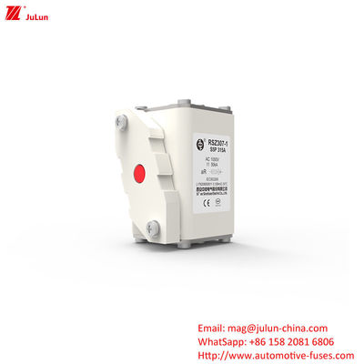 315A  AC1000V Portable EV Charger Car Fuses With High Breaking Capacity