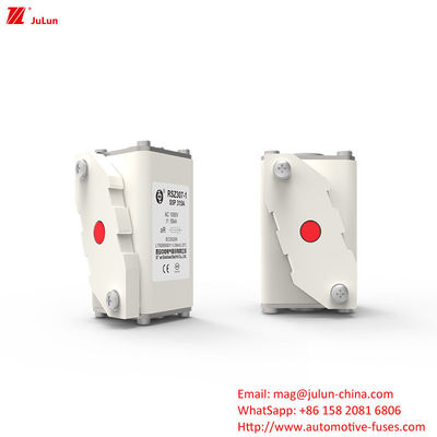 315A  AC1000V Portable EV Charger Car Fuses With High Breaking Capacity