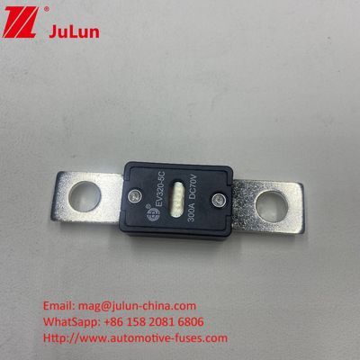 EV320-5C 175A 70VDC SINOFUSE Ceramic Car Fuses Small Size High Current Rating 70VDC Rated Voltage
