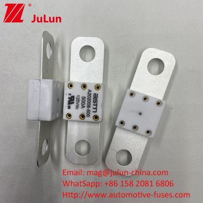 500A Auto A202008 125VDC  Portable EV Charger Fuse 100A 125A 150A 200A 250A 300A 400A 500A