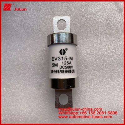 EV315-M 5M 125A HS 500VDC Truck Heavy Tubular Electric Vehicle Fuse Constant Copper With Utilization Category EV