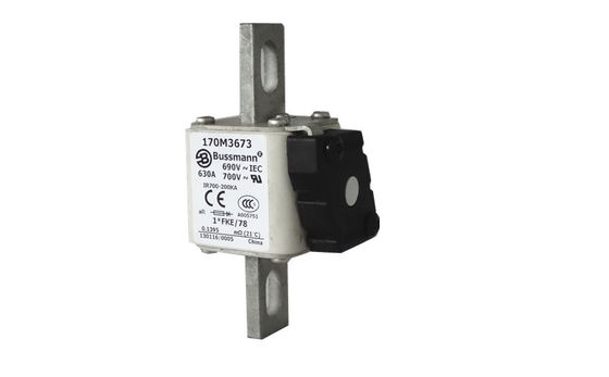 Installation américaine standard européenne de fusible carré 690V/700V 40-2000A